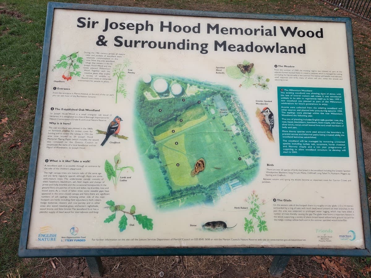 Sir Joseph Hood Memorial Playing Fields - Image 1