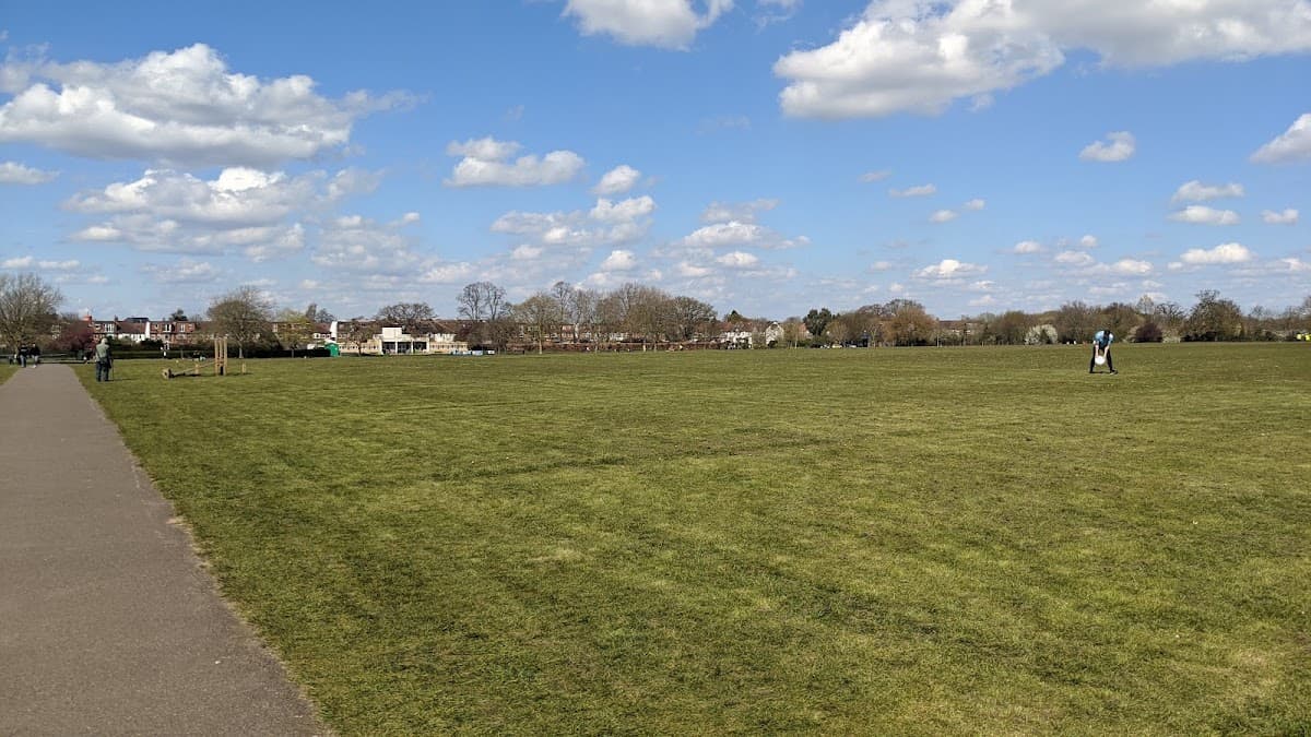Sir Joseph Hood Memorial Playing Fields - Image 2