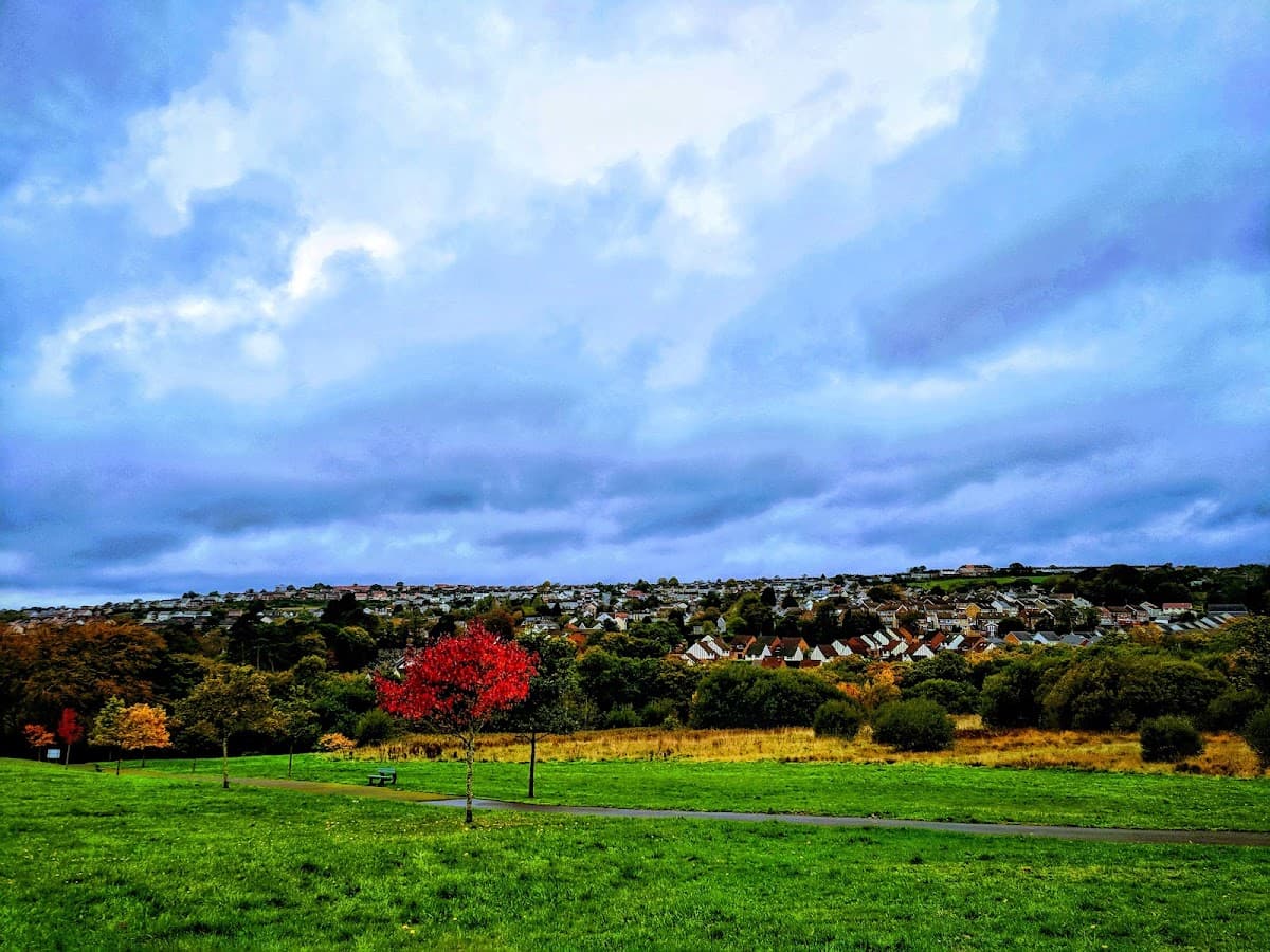 Parc Llewelyn - Image 2