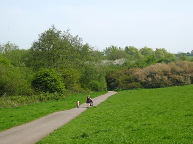 Stockwood Open Space Nature Reserve - Main view