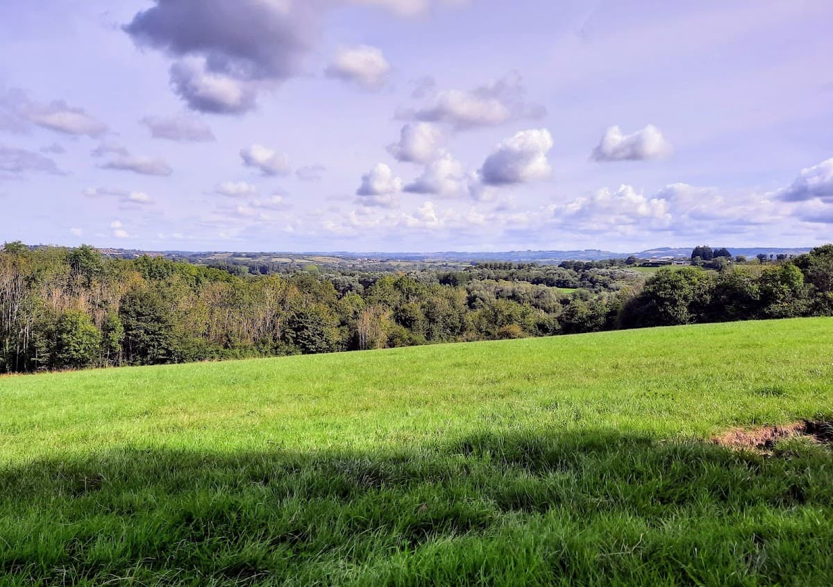 Stockwood Open Space Nature Reserve - Image 2
