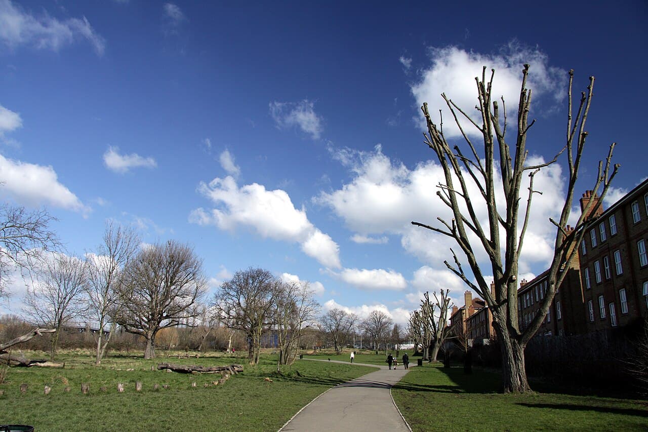 Little Wormwood Scrubs - Main view