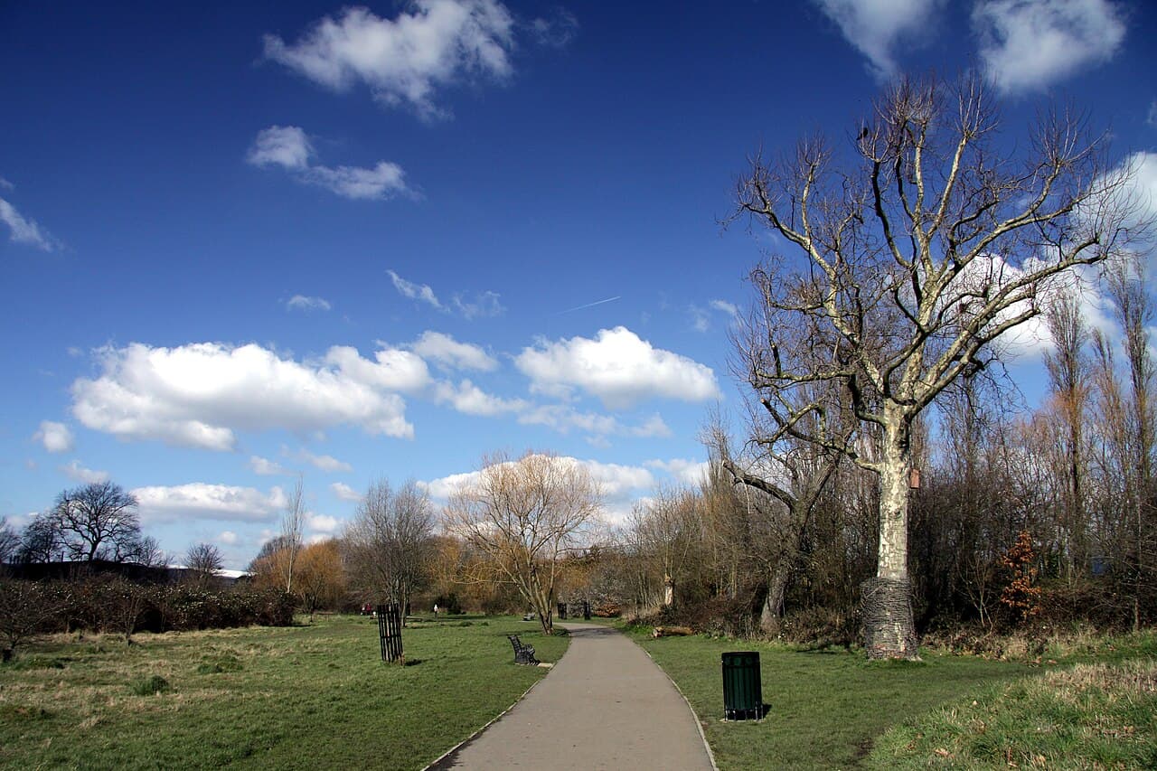 Little Wormwood Scrubs - Image 3