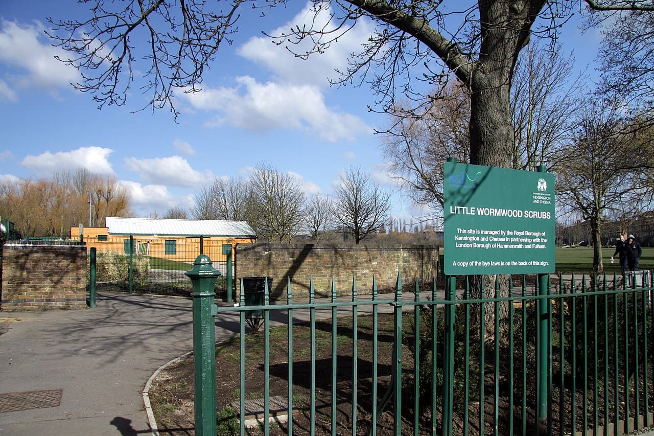 Little Wormwood Scrubs - Image 4
