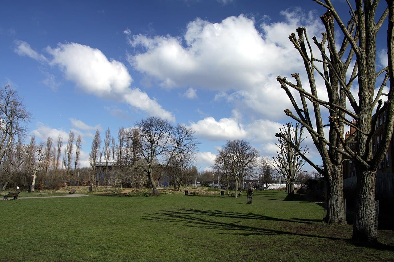 Little Wormwood Scrubs - Image 5