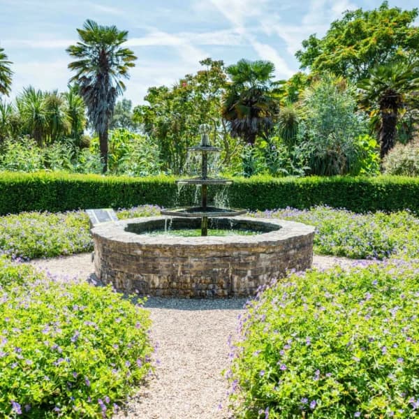 The Walled Gardens of Cannington Tea Room - Image 3