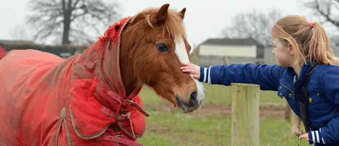 Lockey Farm - Image 4
