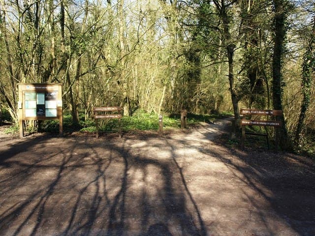 RSPB Swell Wood - Main view