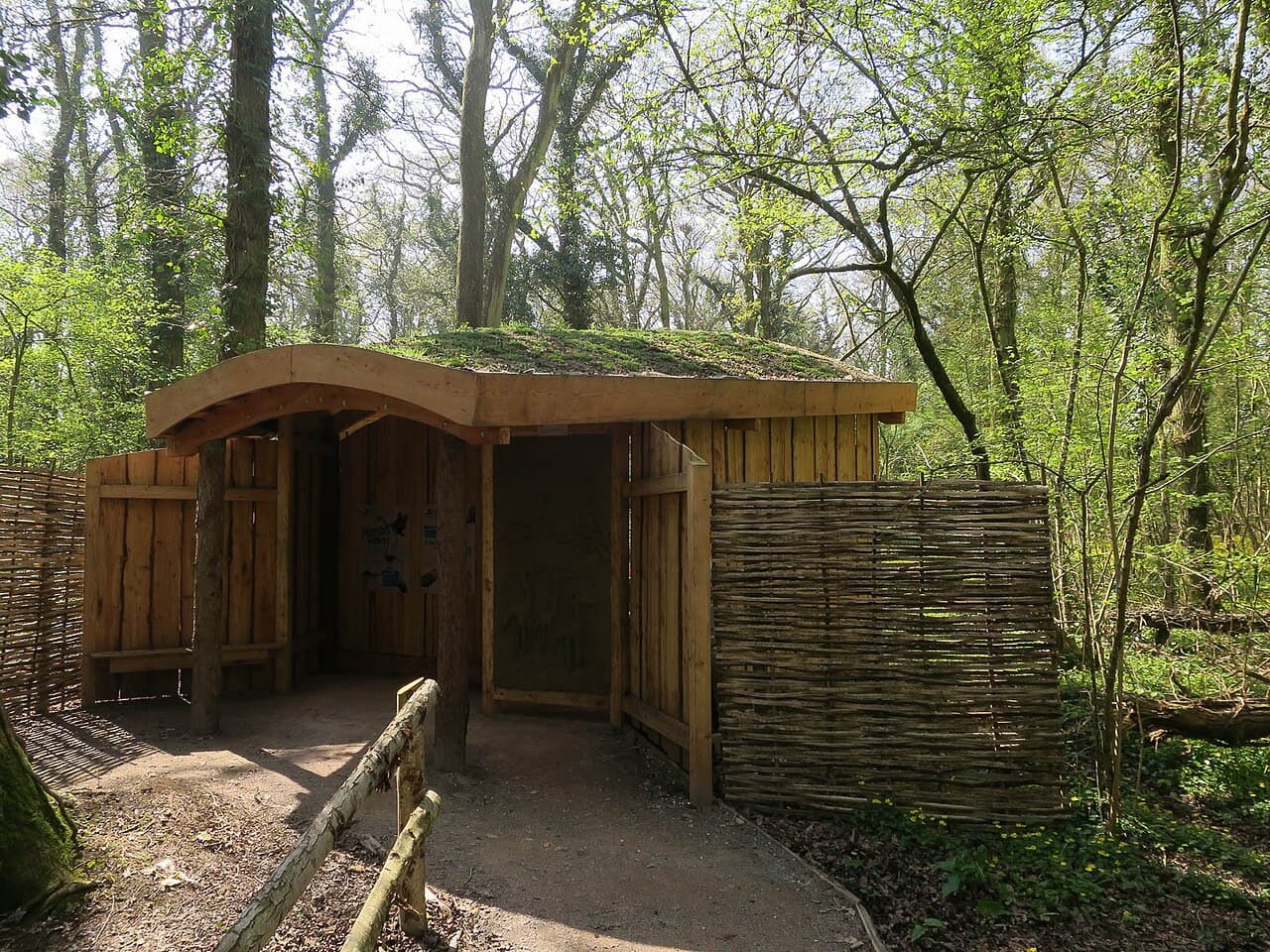 RSPB Swell Wood - Image 4