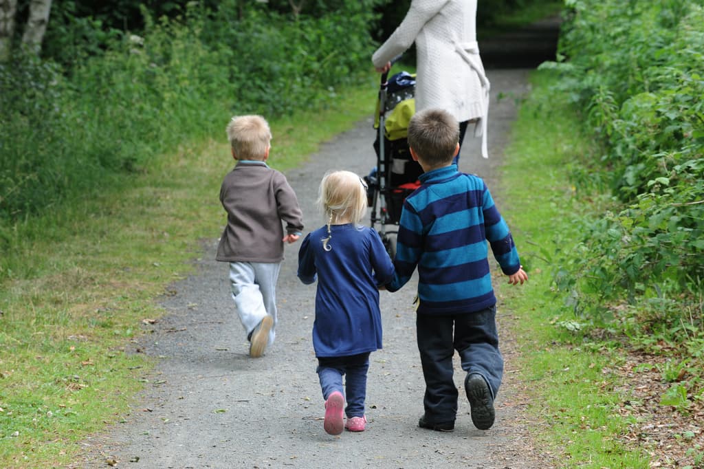 Aden Country Park - Image 2