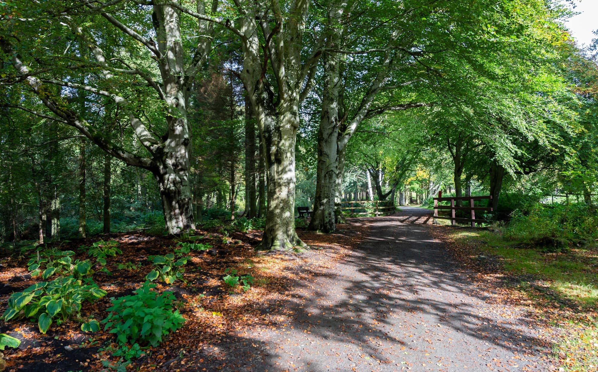 Aden Country Park - Image 4