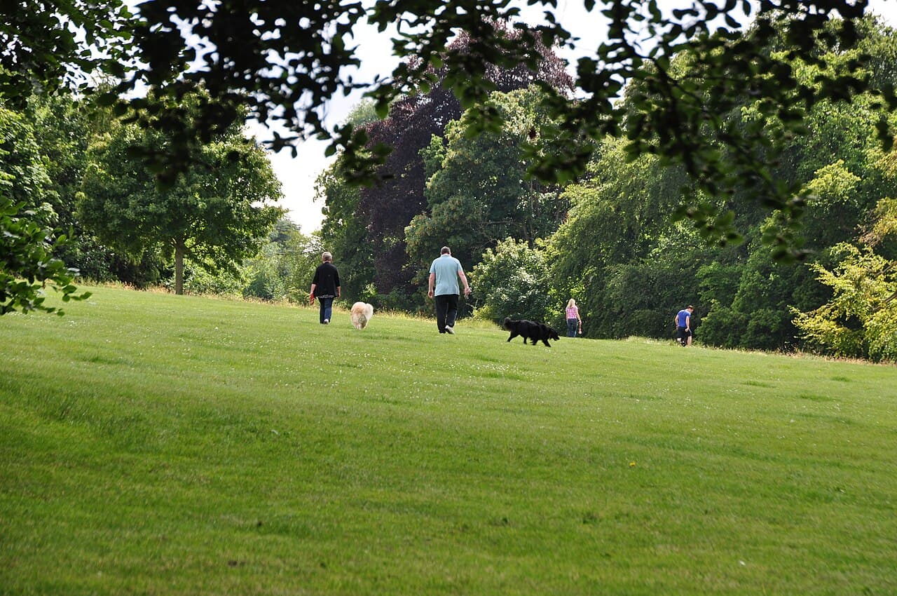 Oaks Park - Image 2