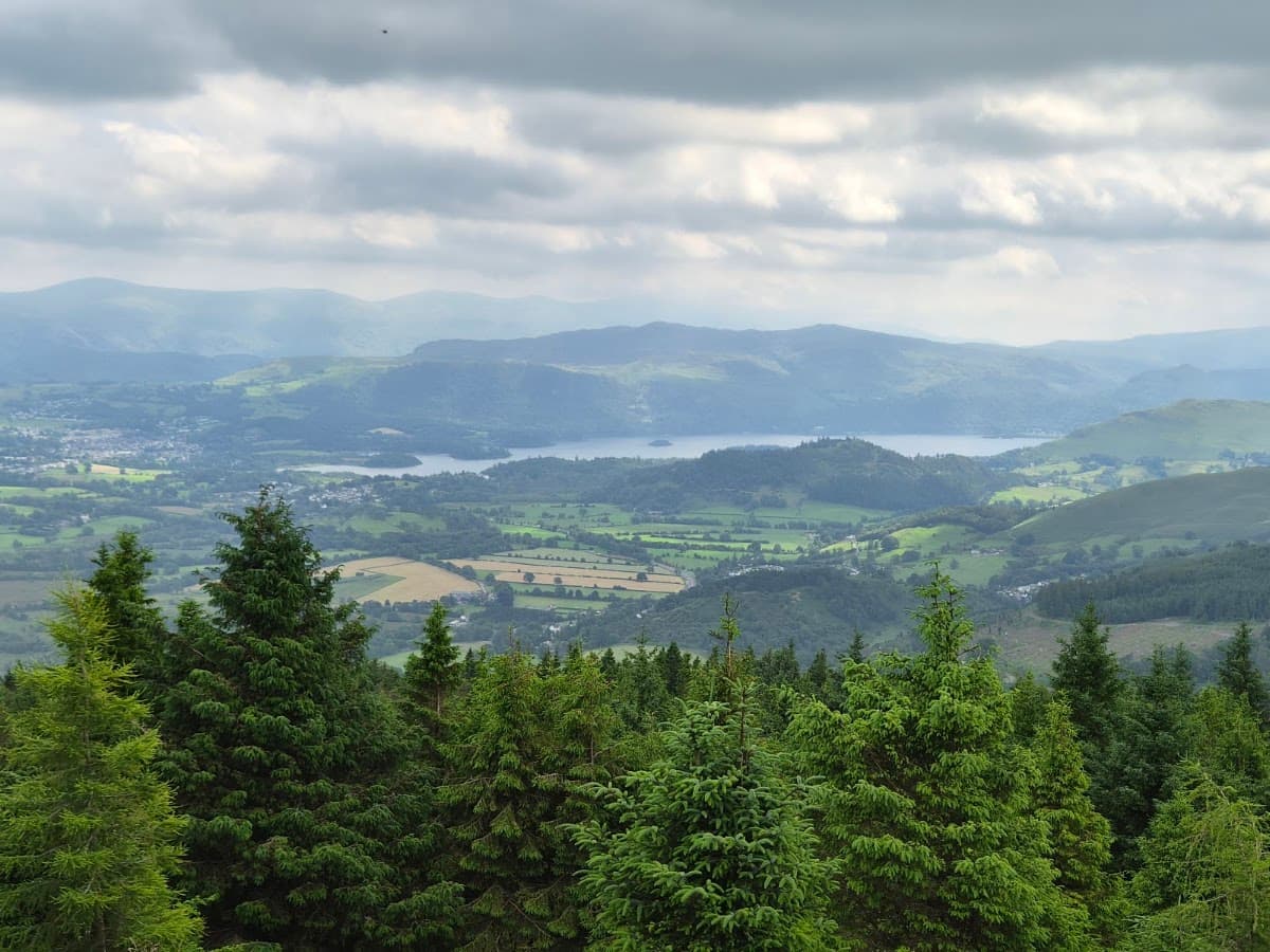 Whinlatter Visitor Centre - Image 2