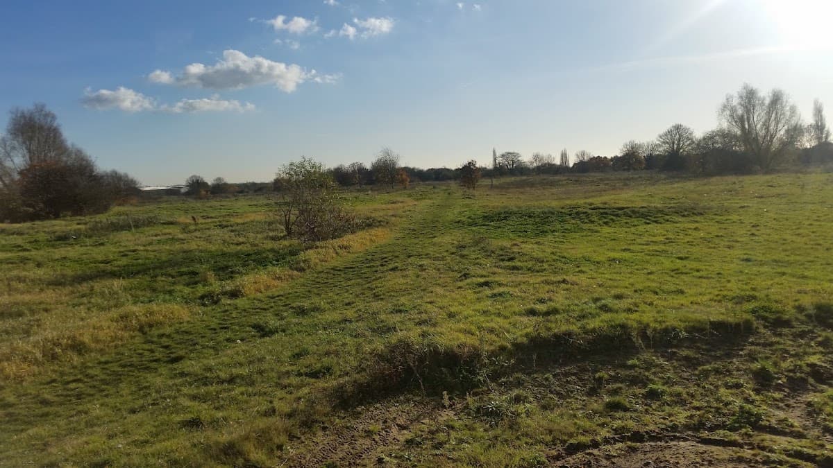 Hounslow Heath (Hounslow) - Main view