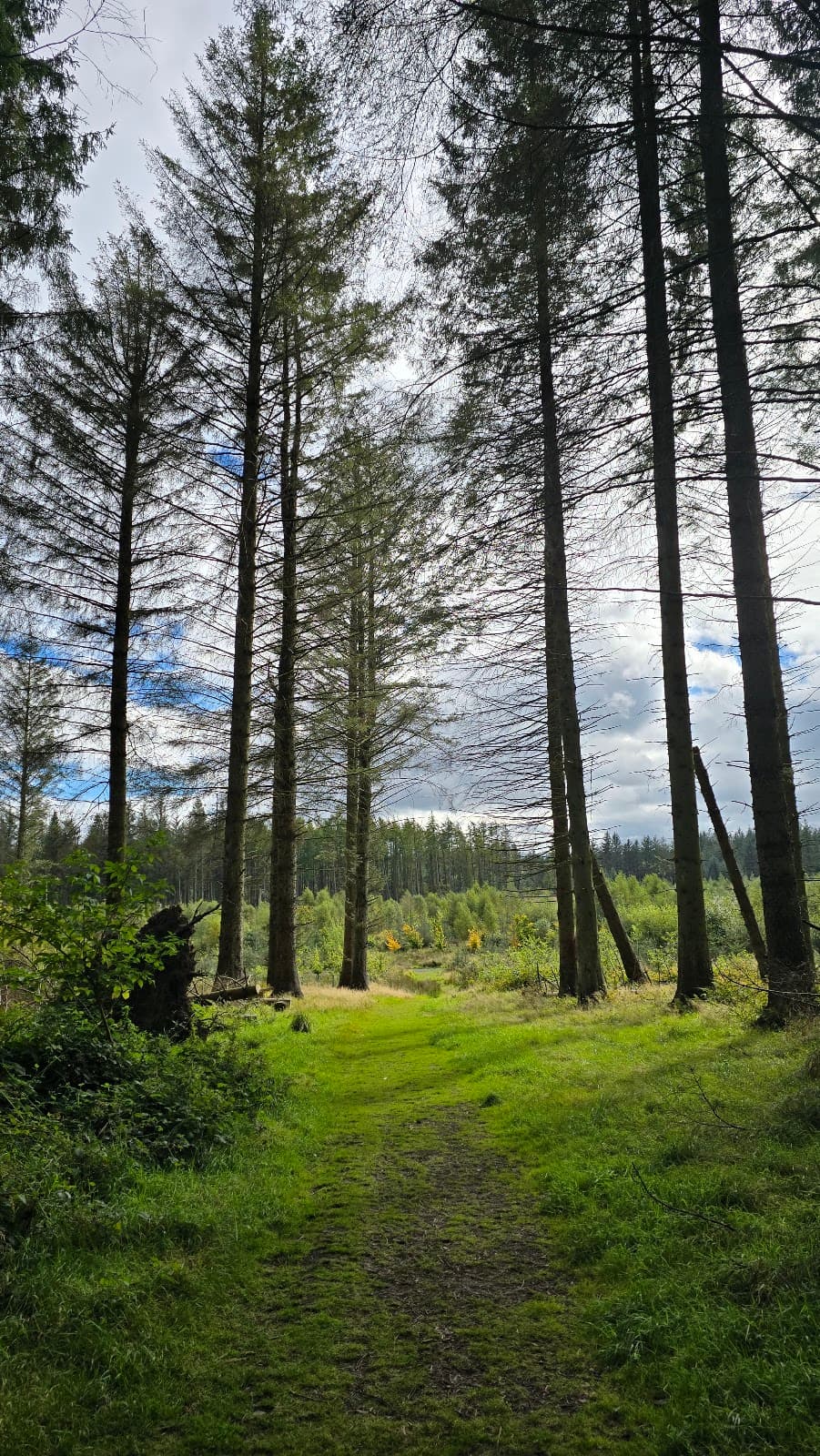 Beecraigs Playpark - Image 2