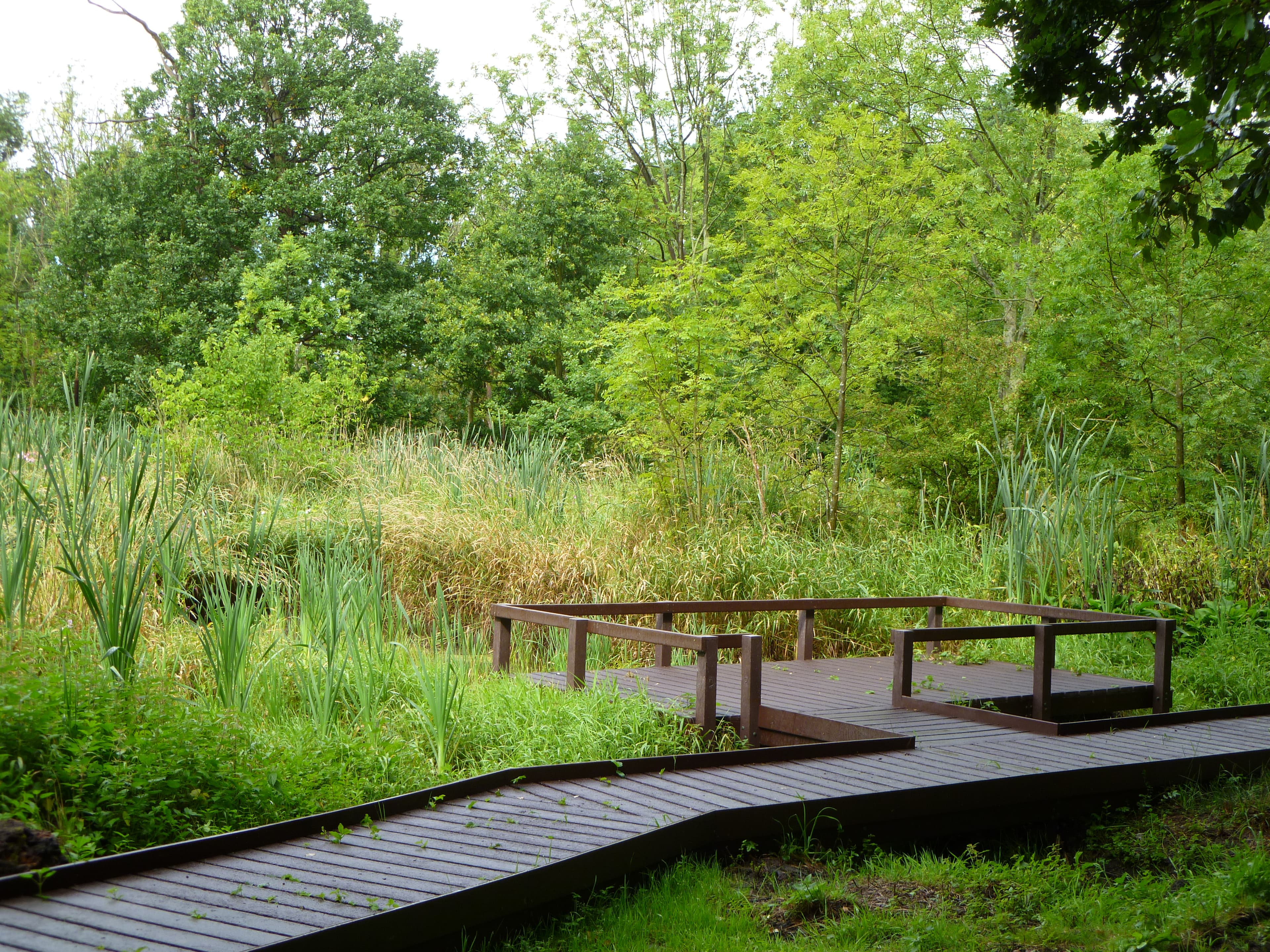 Weetslade Country Park - Image 1