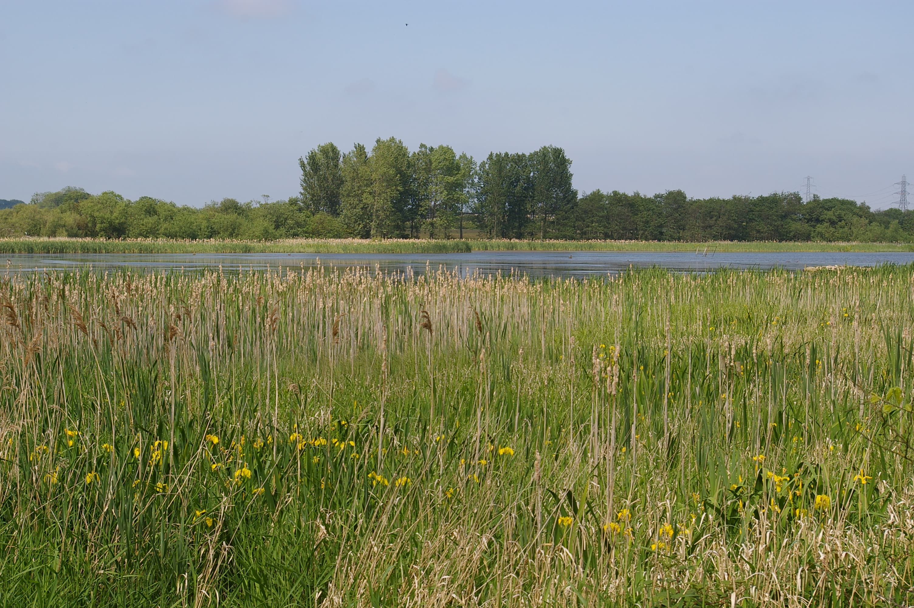 Weetslade Country Park - Image 2