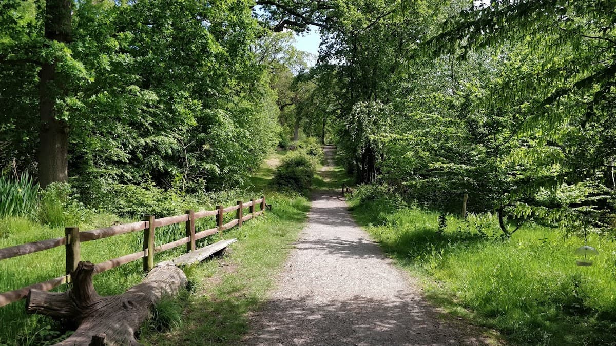 Parndon Wood Nature Reserve - Image 3