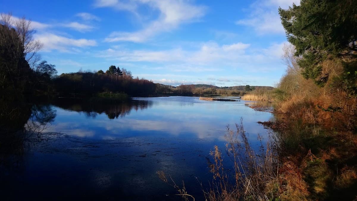 Tentsmuir National Nature Reserve - Image 3