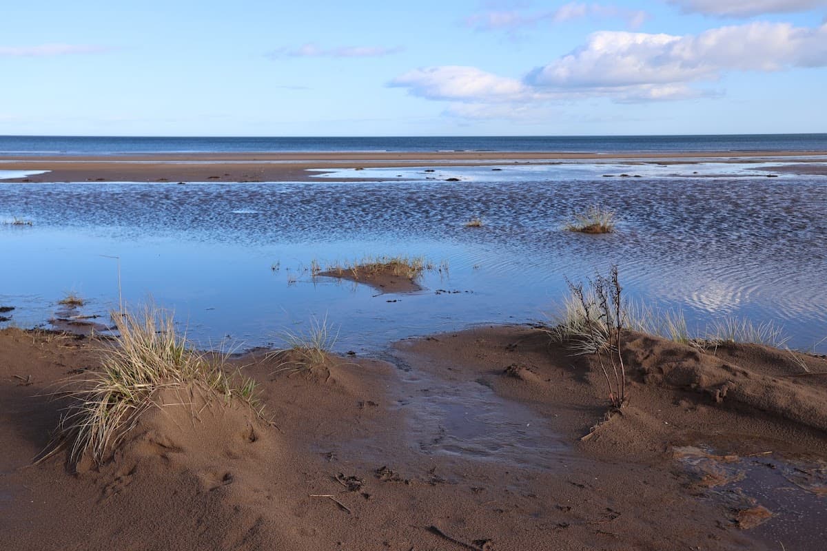 Tentsmuir National Nature Reserve - Image 4