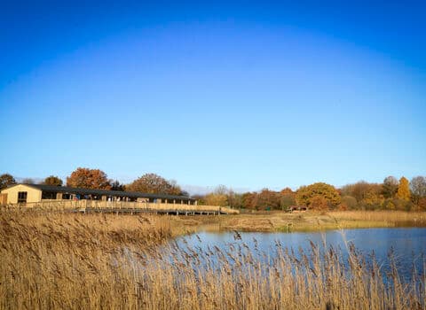 Allerthorpe Common Nature Reserve - Image 2