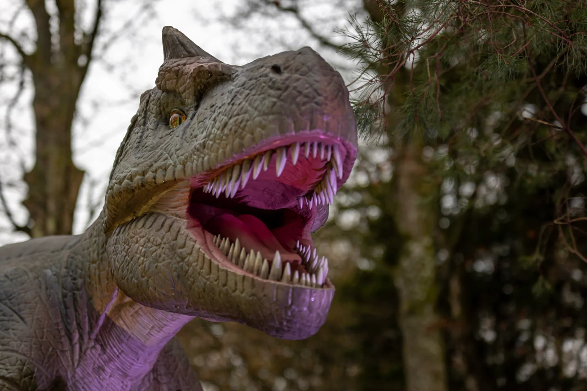 Blair Drummond Safari Park - Image 4