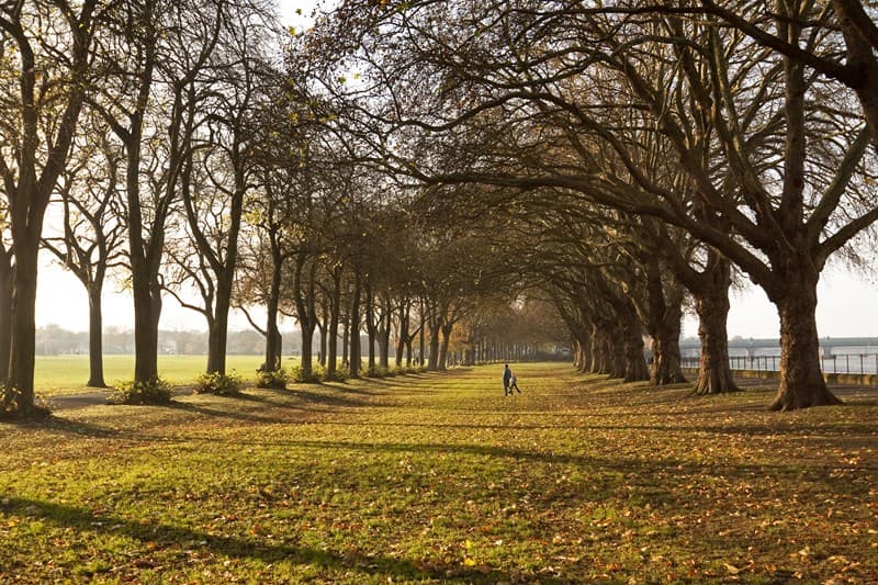 Wandsworth Park - Image 1
