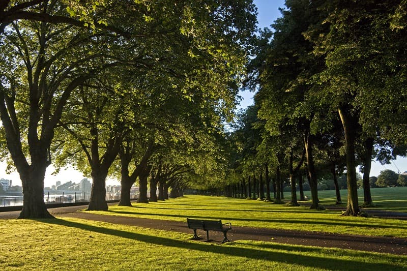 Wandsworth Park - Image 2