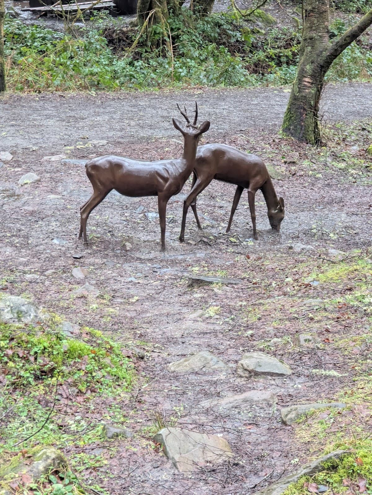 The Lodge Forest Visitor Centre - Image 3