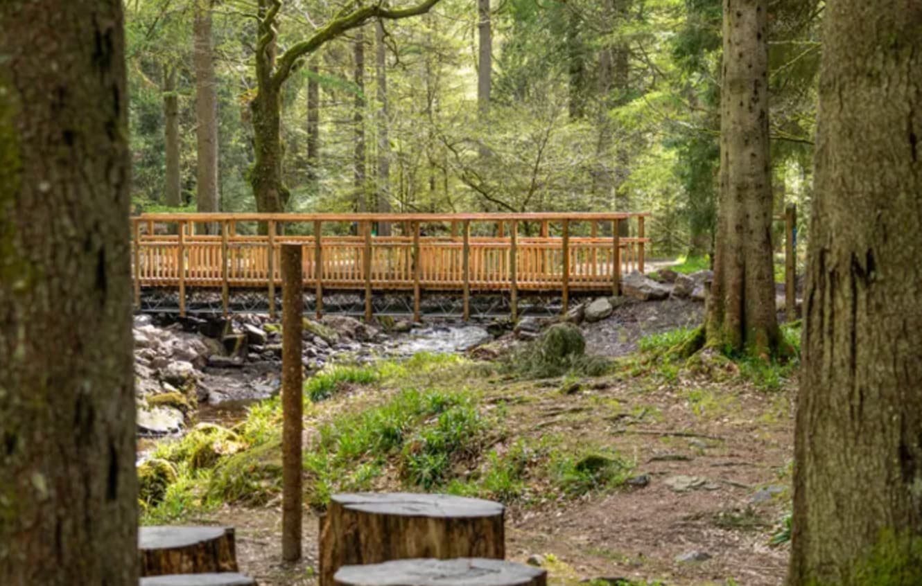 The Lodge Forest Visitor Centre - Image 4