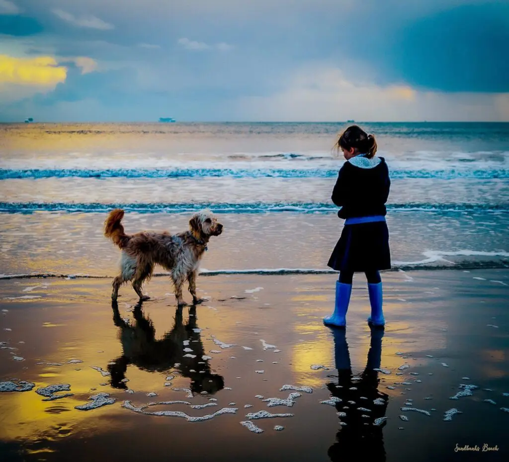 Sandbanks Beach - Image 2