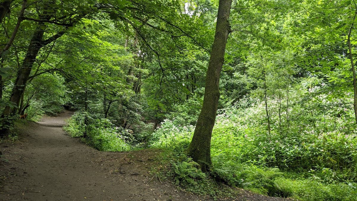 Fairy Glen - Image 2