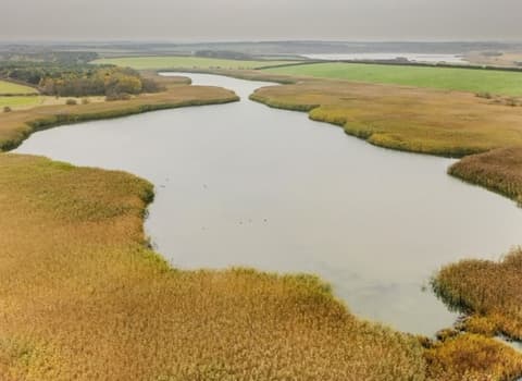 Hauxley Nature Reserve - Main view