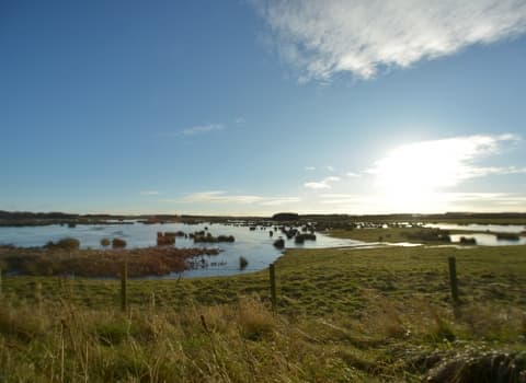 Hauxley Nature Reserve - Image 4