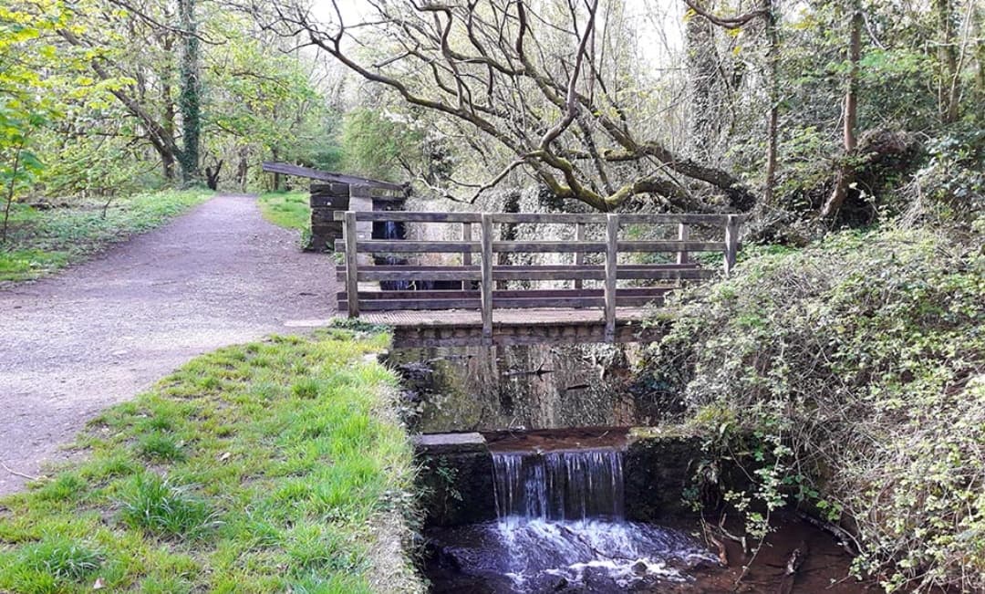 Forest Farm Country Park - Image 2
