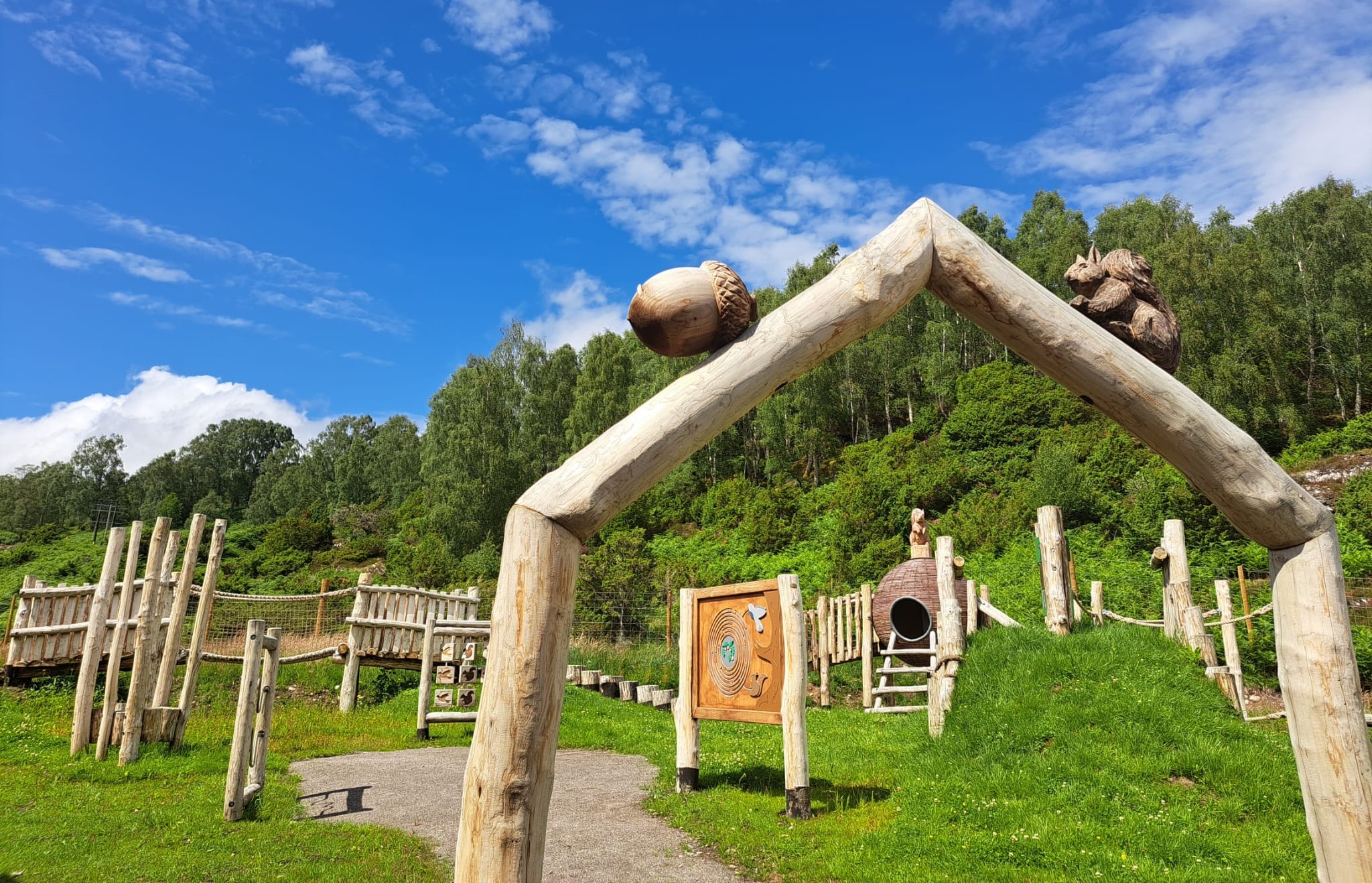 Dundreggan Rewilding Centre - Image 3