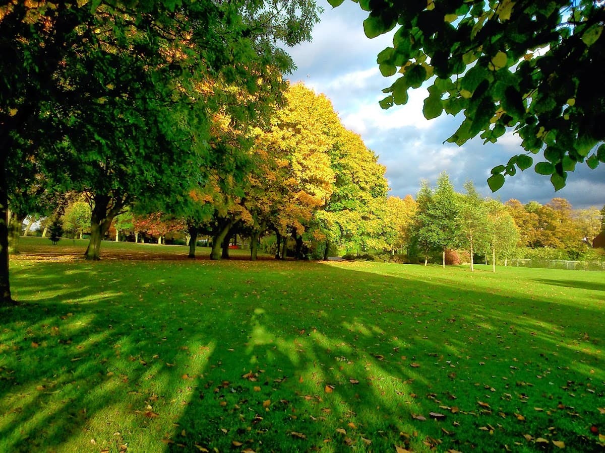 Cudworth Park - Image 1
