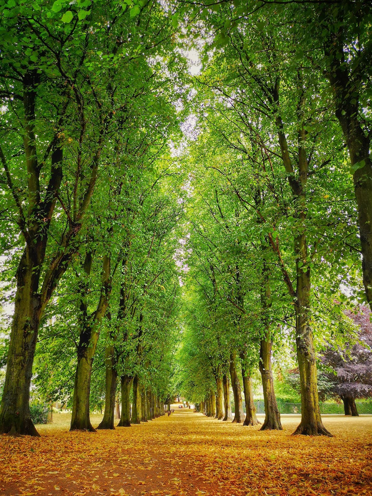 Cudworth Park - Image 2