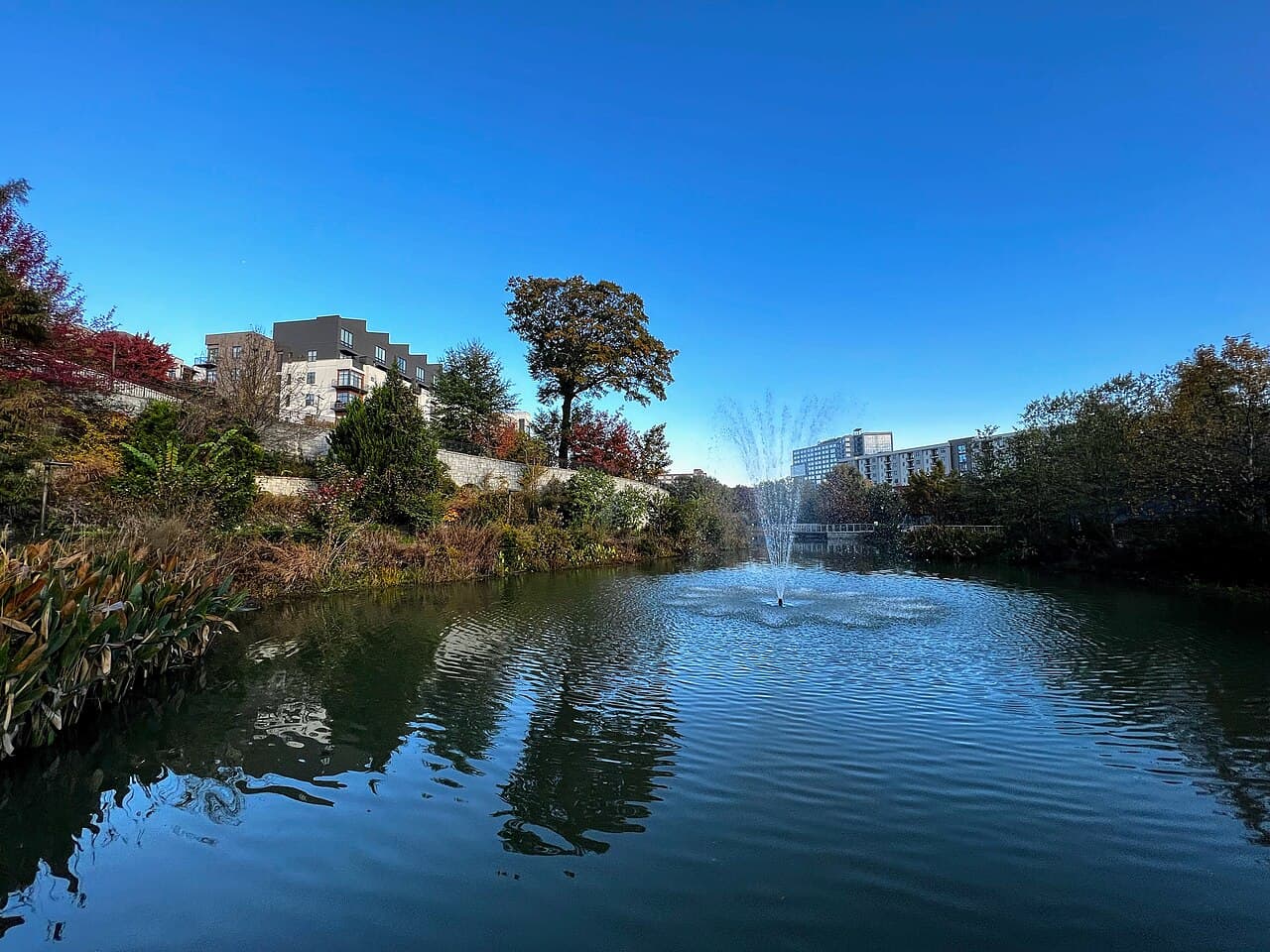 Ward Park - Image 2
