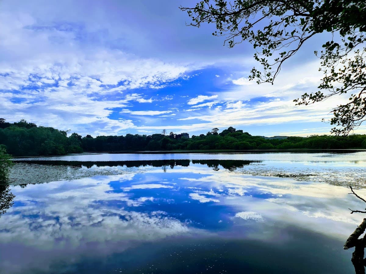 Mugdock Country Park - Image 5