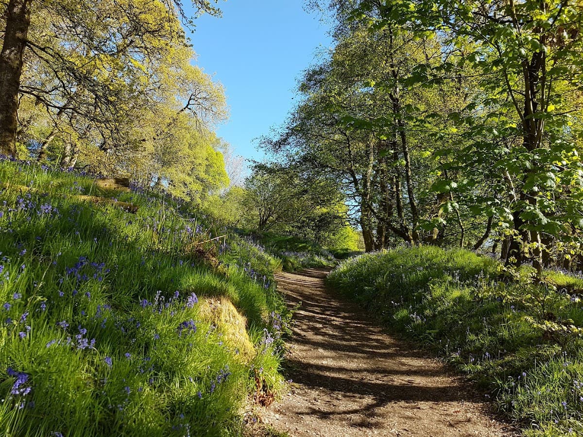 Mugdock Country Park - Image 2