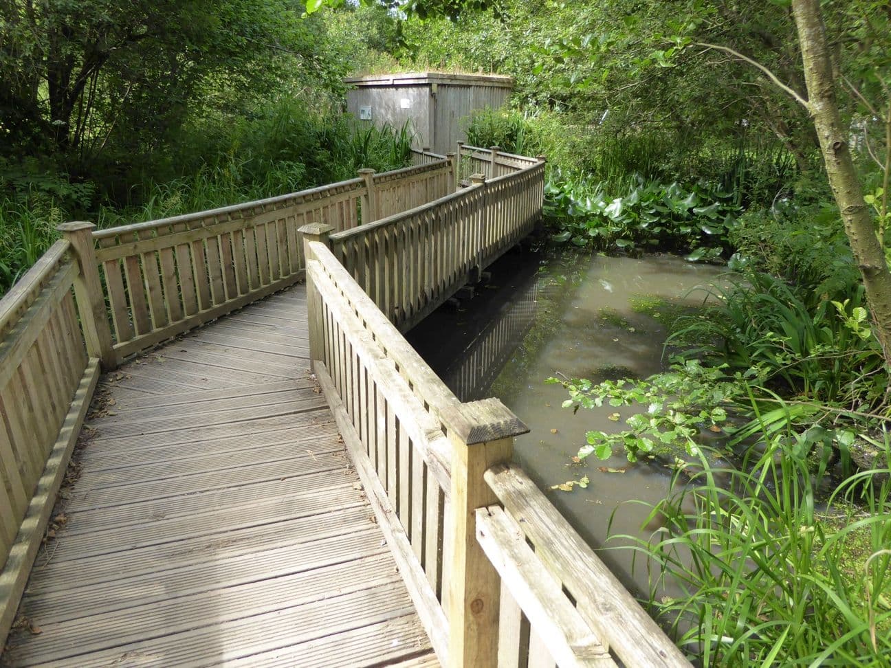 Conwy Water Gardens - Main view