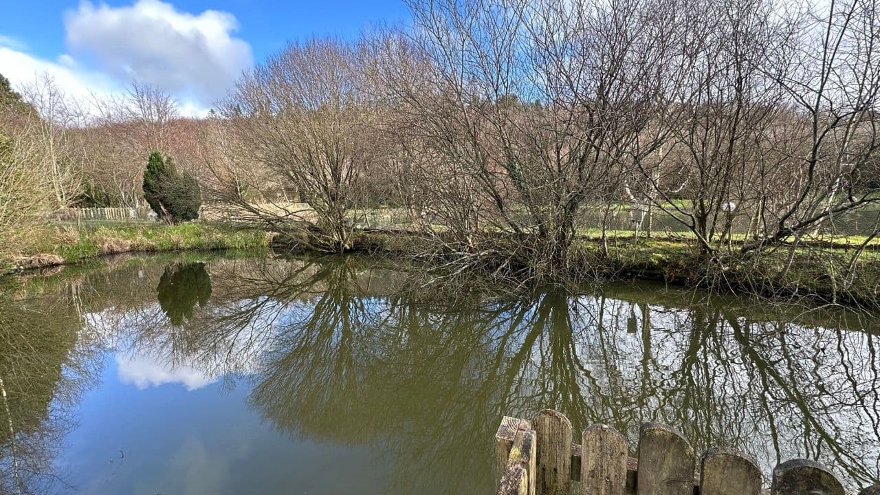 Conwy Water Gardens - Image 2