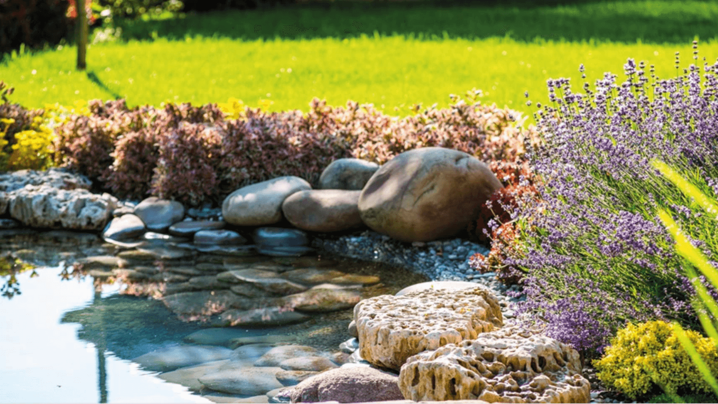 Conwy Water Gardens - Image 3