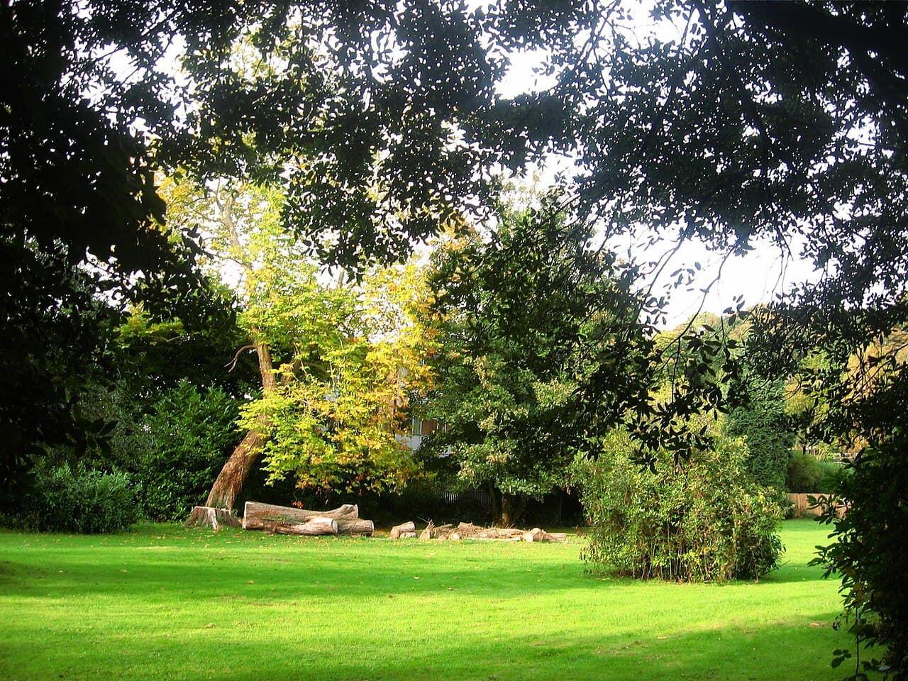 Pontypool Park - Image 4