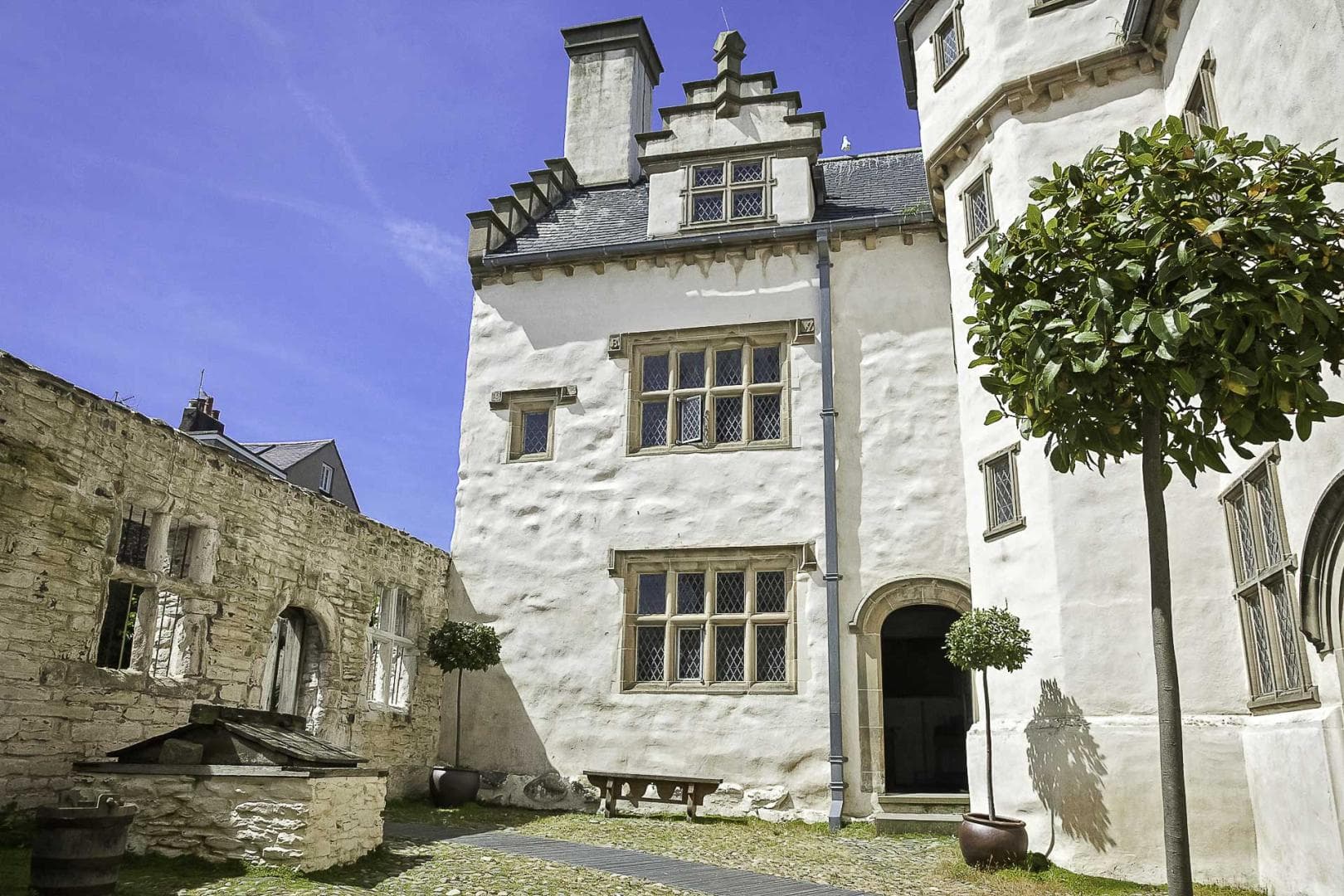 Plas Mawr - Image 2