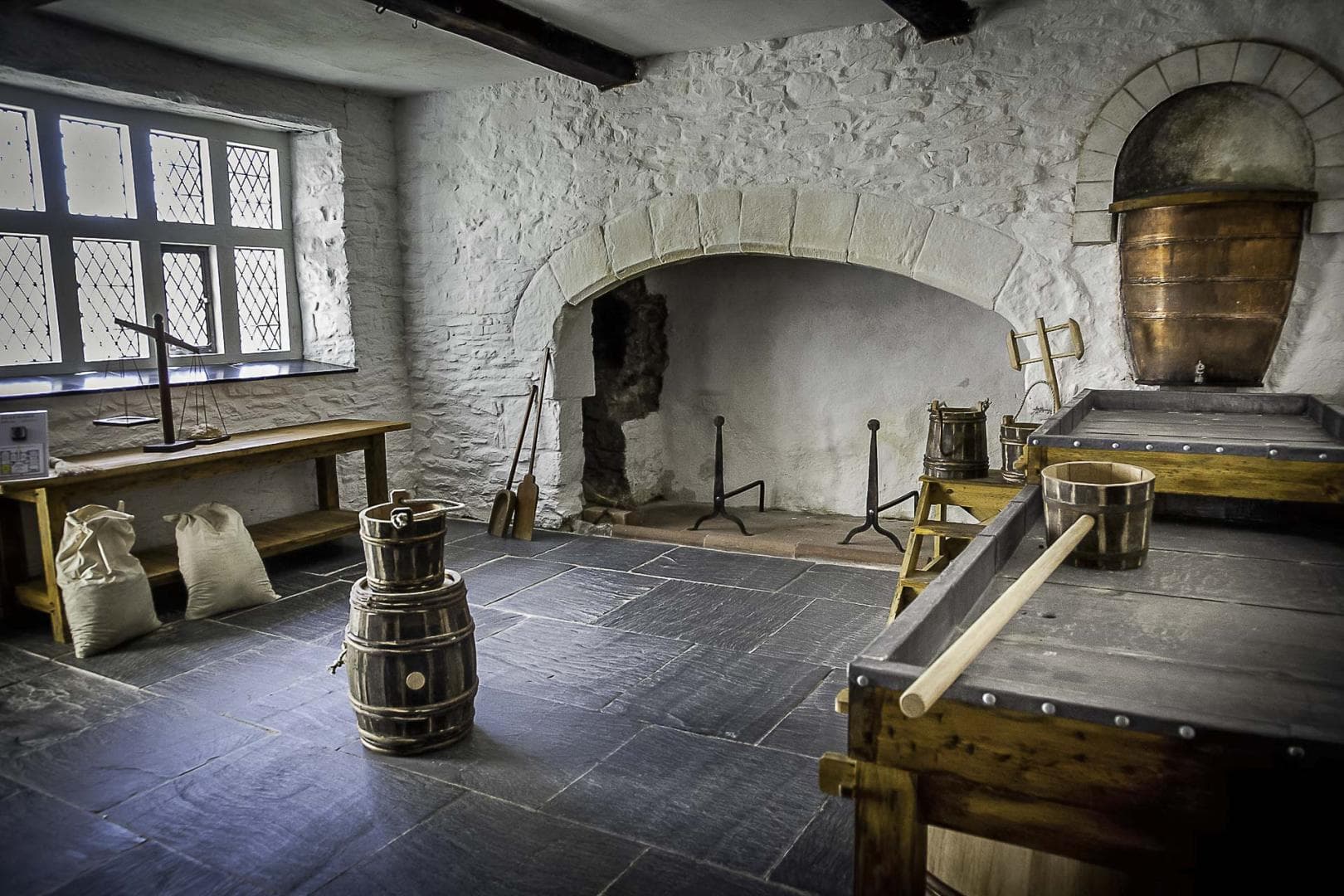 Plas Mawr - Image 4