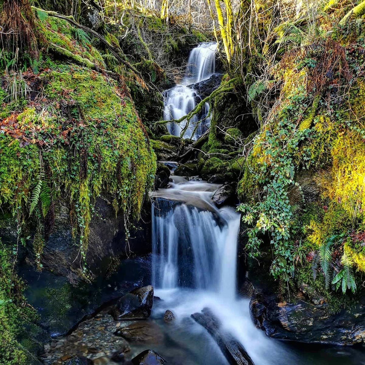 Fairy Bridge of Glen Creran - Image 2