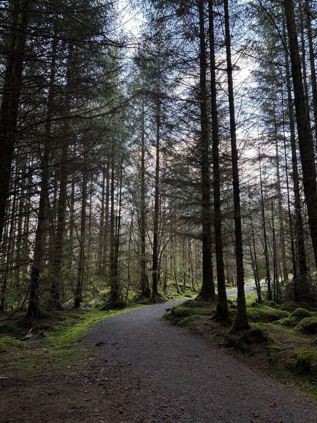 Fairy Bridge of Glen Creran - Image 4