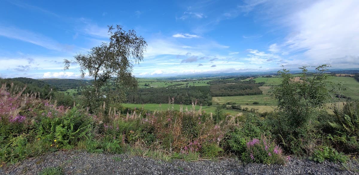 7stanes: Mabie Forest - Image 4
